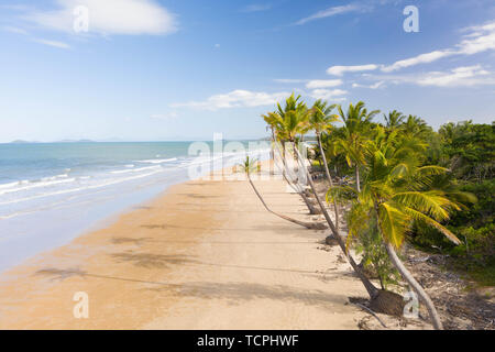 Antenna vista superiore di spiaggia con sabbia bianca, splendide palme e turchesi acque tropicali in Tropical Paradise Island, tropici Foto Stock