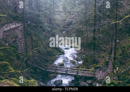 Bellissimo fiume che attraversa una foresta con un ponte sospeso costruito su di esso Foto Stock