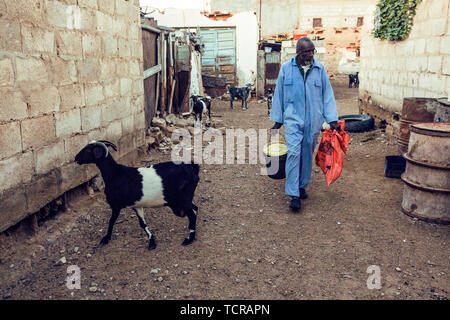 Africa, Mauritania, Ayoun, Sanmao ex residenza, ex residenza, Sanmao, scrittore Taiwanese, strade, città, giunzioni, immobili, edifici, bambini, residenti, strade e case Foto Stock