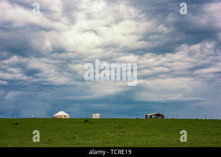 Karajun Prairie Ranch in Yili, Xinjiang Foto Stock