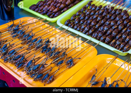 Arrosto, fritti e materie di insetti, bachi da seta, scorpions su stick come snack street food in Cina Foto Stock