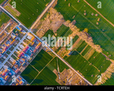 Fotografato nel quartiere Hongze, Huai an Città, provincia dello Jiangsu Foto Stock