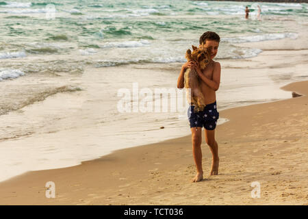 Ragazzo detiene un cane di razza Yorkshire terrier sullo sfondo del mare, animali domestici passeggiata sul mare Foto Stock