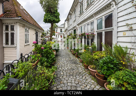 Pittoresca strada di ciottoli in Bergen decorata graziosamente con piante e fiori, Norvegia Foto Stock