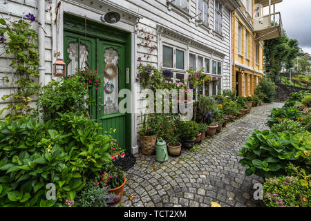 Una tipica casa in legno in Bergen decorata graziosamente con piante e fiori, Norvegia Foto Stock
