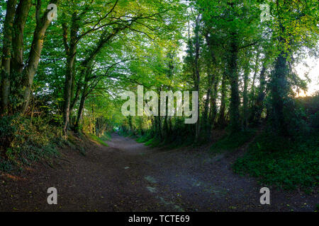 Halnaker, Regno Unito - 10 Maggio 2019: Tramonto sul mulino a vento a Halnaker collina vicino Goodwood e Chichester in West Sussex, Regno Unito Foto Stock