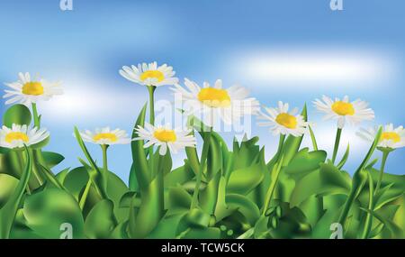 Molla di erba verde e chomomile. Vettore 3d realistica del paesaggio. Chomomile realistici in sfondo blu. Illustrazione Vettoriale