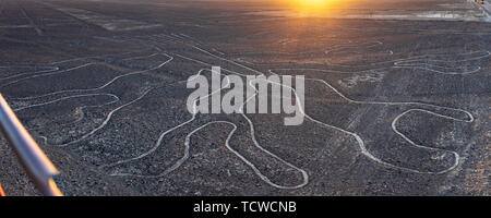 Linee di Nazca geoglyphs dalla torre di avvistamento viewpoint, Perù, Sud America Foto Stock