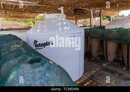 La produzione di Pisco a Tony Labis cantina e distilleria di pisco in Huacachina, Perù, Sud America Foto Stock