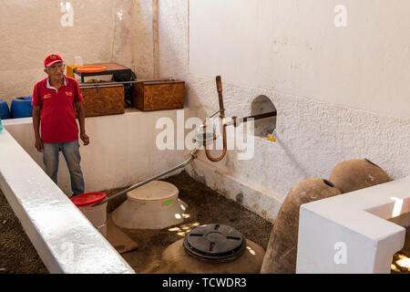 La produzione di Pisco a Tony Labis cantina e distilleria di pisco in Huacachina, Perù, Sud America Foto Stock