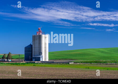 Un deposito di grano ascensore nelle colline della Palouse, Washington, Stati Uniti d'America. Foto Stock