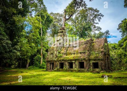 Nella giungla incontaminata di Angkor Wat, Cambogia, ci sono molti sconosciuto capanne di pietra e rovine, coperte di muschio e vigne, emanando un odore di mistero e vicissitudini, e quando il sole proietta la luce sul muro chiazzato attraverso le crepe di antichi alberi attorno ad esso, è come aprire la porta a una favola mondo, attirando turisti di esplorare la sua vita precedente. Foto Stock