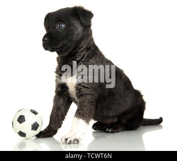 Grazioso cucciolo con sfera isolato su bianco Foto Stock