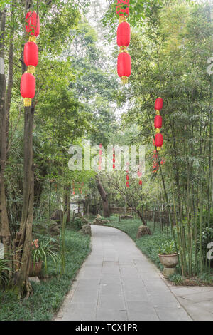 Foresta di Bamboo prugna Fiore strada prato in primavera a Chengdu, Cina Foto Stock
