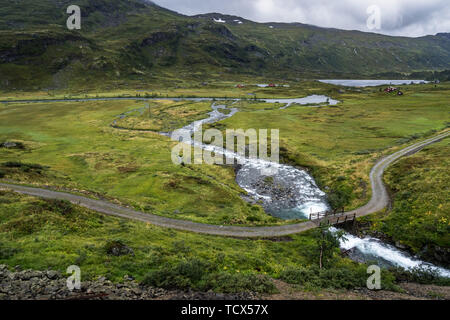 Scenic paesaggio del Parco Nazionale di Hardangervidda situato nel centro sud della Norvegia. Foto scattata dal treno Oslo-Bergen Foto Stock