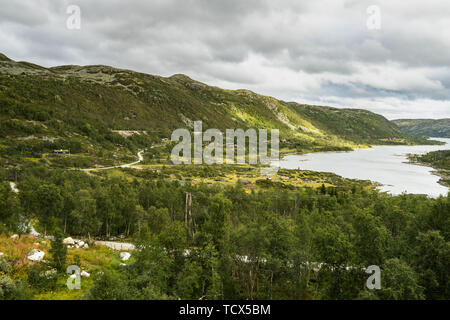 Il paesaggio del sud centrale Norvegia visto dal treno Oslo-Bergen, uno dei più spettacolari le ferrovie europee Foto Stock