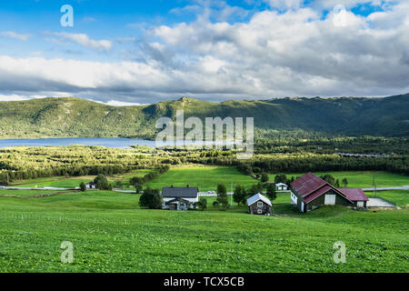 Scenic piccolo villaggio lungo la ferrovia Oslo-Bergen circondato dallo splendido paesaggio naturale della Norvegia meridionale Foto Stock