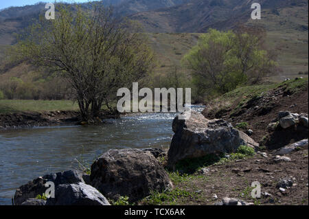 Massi di pietra e un albero solitario sulle rive del fiume di montagna Wajan. Altai, Siberia, Russia. Foto Stock