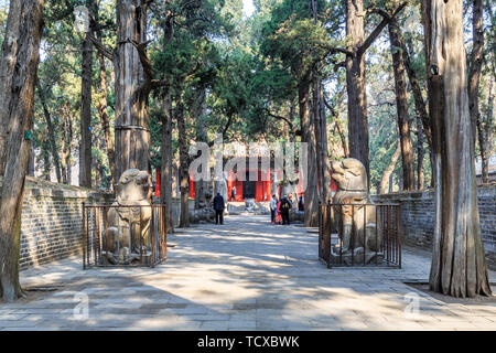 Lo Shinto Hall nella foresta di Confucio in Qufu, Provincia di Shandong Foto Stock