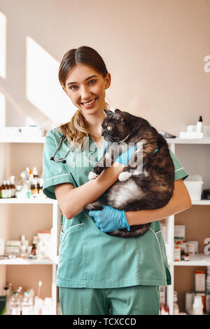 Io amo ciascuno dei miei pazienti! Donna sorridente vet tenendo un big black cat soffici nelle sue mani, sorridente e guardando la telecamera durante il riposo di veterinario Foto Stock