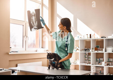 Vediamo. Veterinario femmina in uniforme di lavoro sta guardando un gatto X-ray e trattenimento di un paziente con una mano durante l'esame al veterinar Foto Stock