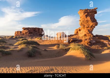 Tramonto nel deserto del Sahara vicino a Timimoun, Algeria occidentale, il Nord Africa e Africa Foto Stock