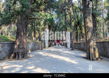 Lo Shinto Hall nella foresta di Confucio in Qufu, Provincia di Shandong Foto Stock