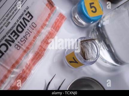 Laboratorio Criminalistic, analisi del capello, immagine concettuale Foto Stock