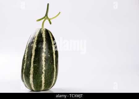 Boyang 9 melone. Foto Stock