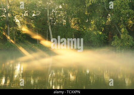 Raggi di sole taglio attraverso la nebbia e riflette un fiume in superficie ad un angolo basso con alberi in background Foto Stock