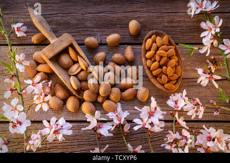 Molla di mandorla blossom raccolto sulla tavola di legno Foto Stock