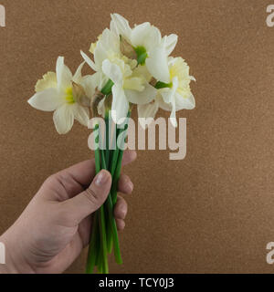 Mazzo di narcisi in una ragazza di mano. Fiori di Primavera. Sfondo di sughero Foto Stock