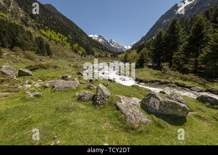 L'Europa, Francia, Pirenei, 05-2019, flussi di acqua da neve di fusione tagliare attraverso una valle tra le montagne dei Pirenei francesi, vicino all'Altopiano di C Foto Stock