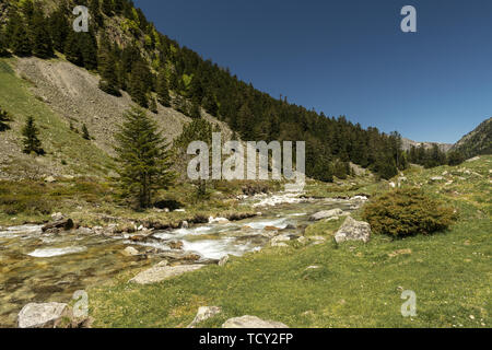 L'Europa, Francia, Pirenei, 05-2019, flussi di acqua da neve di fusione tagliare attraverso una valle tra le montagne dei Pirenei francesi, vicino all'Altopiano di C Foto Stock