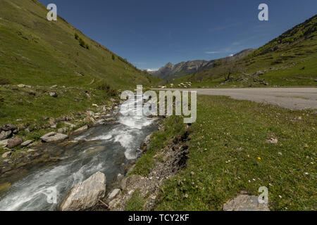 L'Europa, Francia, Pirenei, 05-2019, flussi di acqua da neve di fusione tagliare attraverso una valle tra le montagne dei Pirenei francesi, vicino all'Altopiano di C Foto Stock