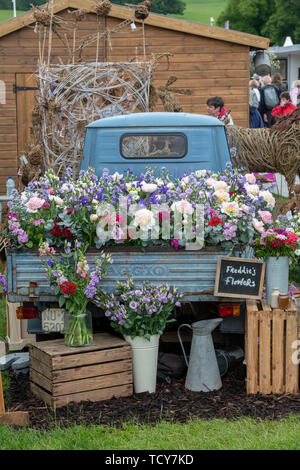 Fiori Freddies display a RHS Chatsworth flower show 2019. Chatsworth, Derbyshire, Regno Unito Foto Stock