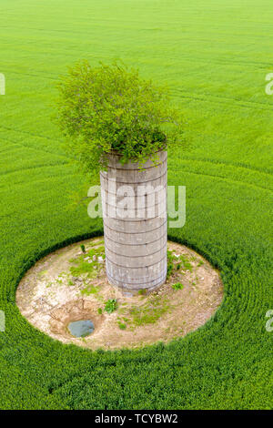 Mt Vernon, Illinois - Un albero cresce al di fuori della parte superiore di un vecchio silo in un campo di fattoria. Foto Stock