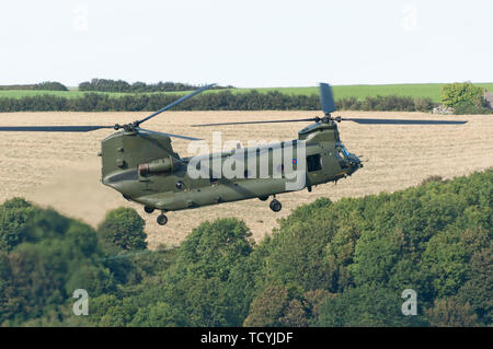 Boeing elicottero Chinook volare al giorno della marina in Dartmouth 2007 Foto Stock