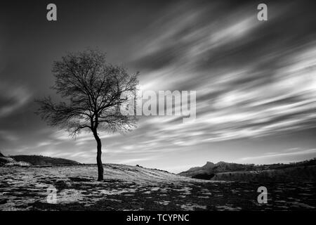 Ghiaccio e neve favole alberi isolati nella prateria Foto Stock