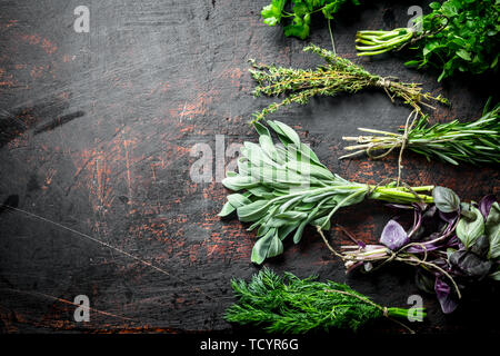 Mazzetti di erbe aromatiche fresche per l'insalata. In scuro dello sfondo rustico