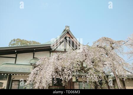 Nara Camera ghiaccio Santuario Foto Stock