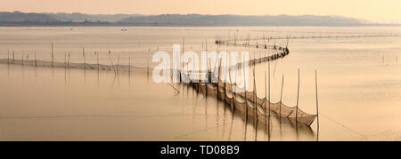 Lago Dongting superficie netta di pesca Foto Stock