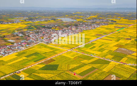 National Highway 108 attraverso Hanzhong olio di colza Foto Stock