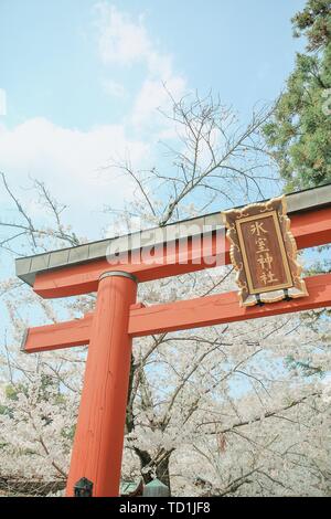 Nara Camera ghiaccio Santuario Foto Stock