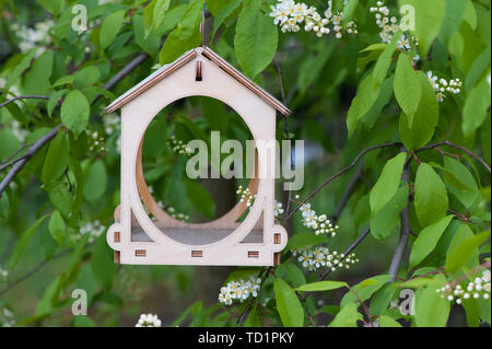 Wooden bird feeder on the bird cherry tree Foto Stock