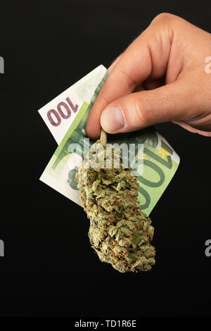 Primo piano di uomo con il denaro delle fatture e marijuana bud con le dita come spacciatore concetto isolato su nero Foto Stock