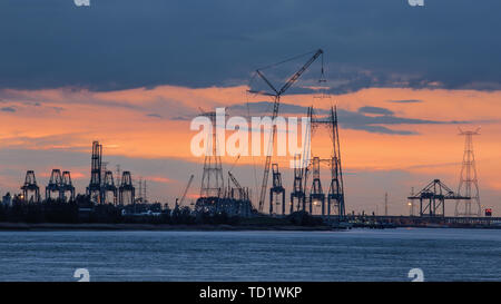 Riverbank con sagome di terminal per container gru durante il colore arancio tramonto, porto di Anversa, Belgio. Foto Stock