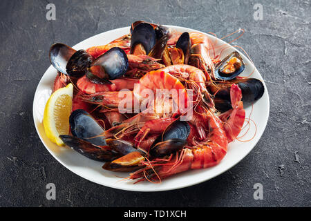 Close-up di Misto mare - cozze, vongole e gamberoni su un piatto bianco su una tabella di calcestruzzo Foto Stock