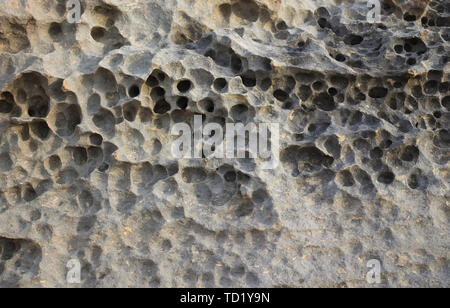 Roccia Naturale texture di calcare grigio con piccoli fori. Foto Stock