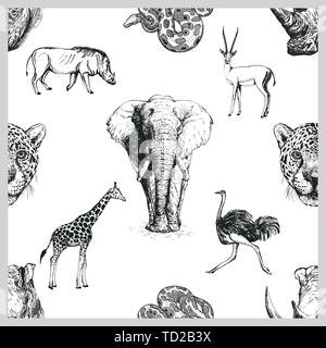 Modello senza giunture di mano il bozzetto stile africano e Animali Asiatici isolati su sfondo bianco. Illustrazione Vettoriale. Illustrazione Vettoriale